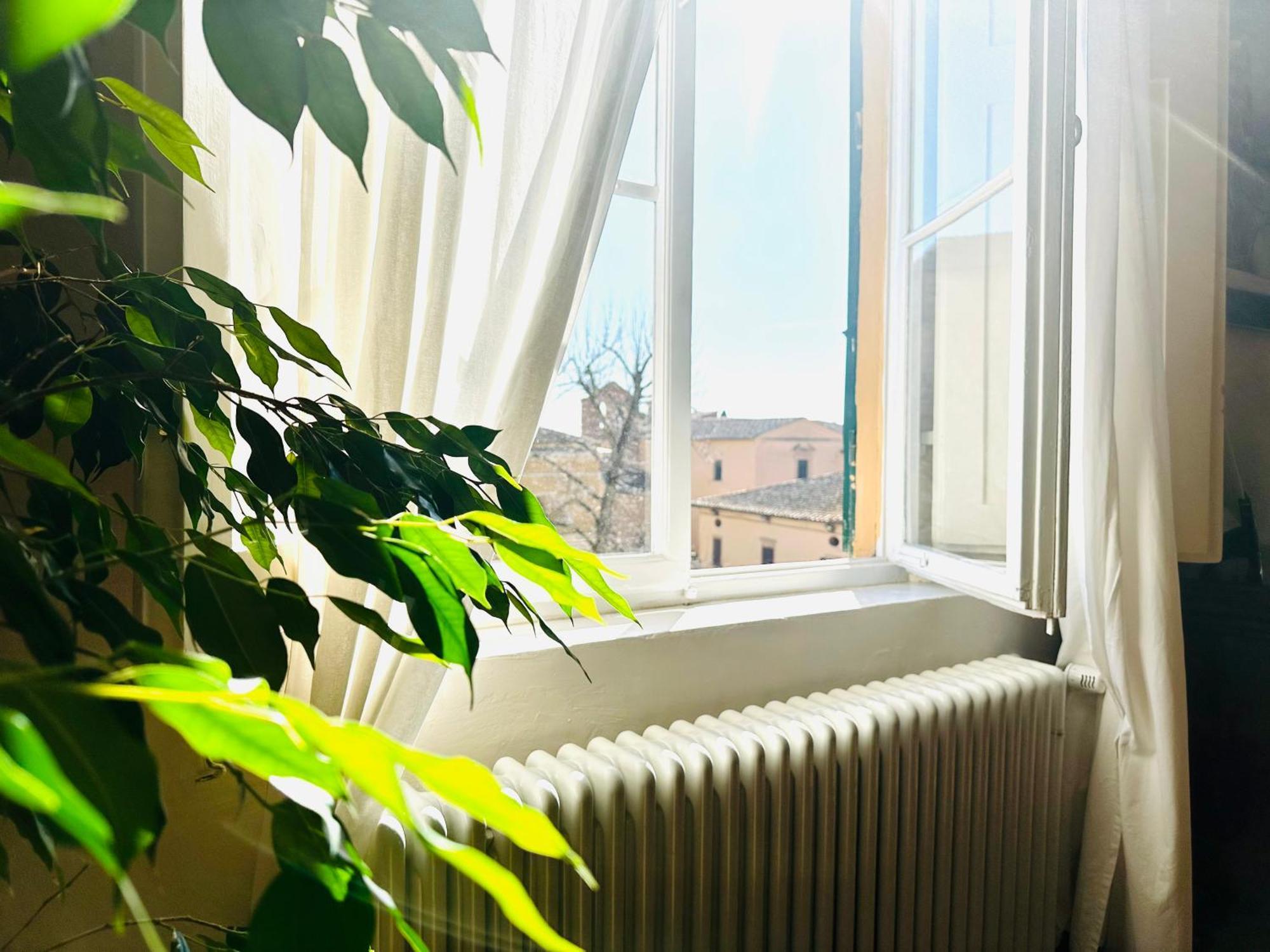 Domus An - Sant'Agata-Historical Home-Very Central 시에나 외부 사진