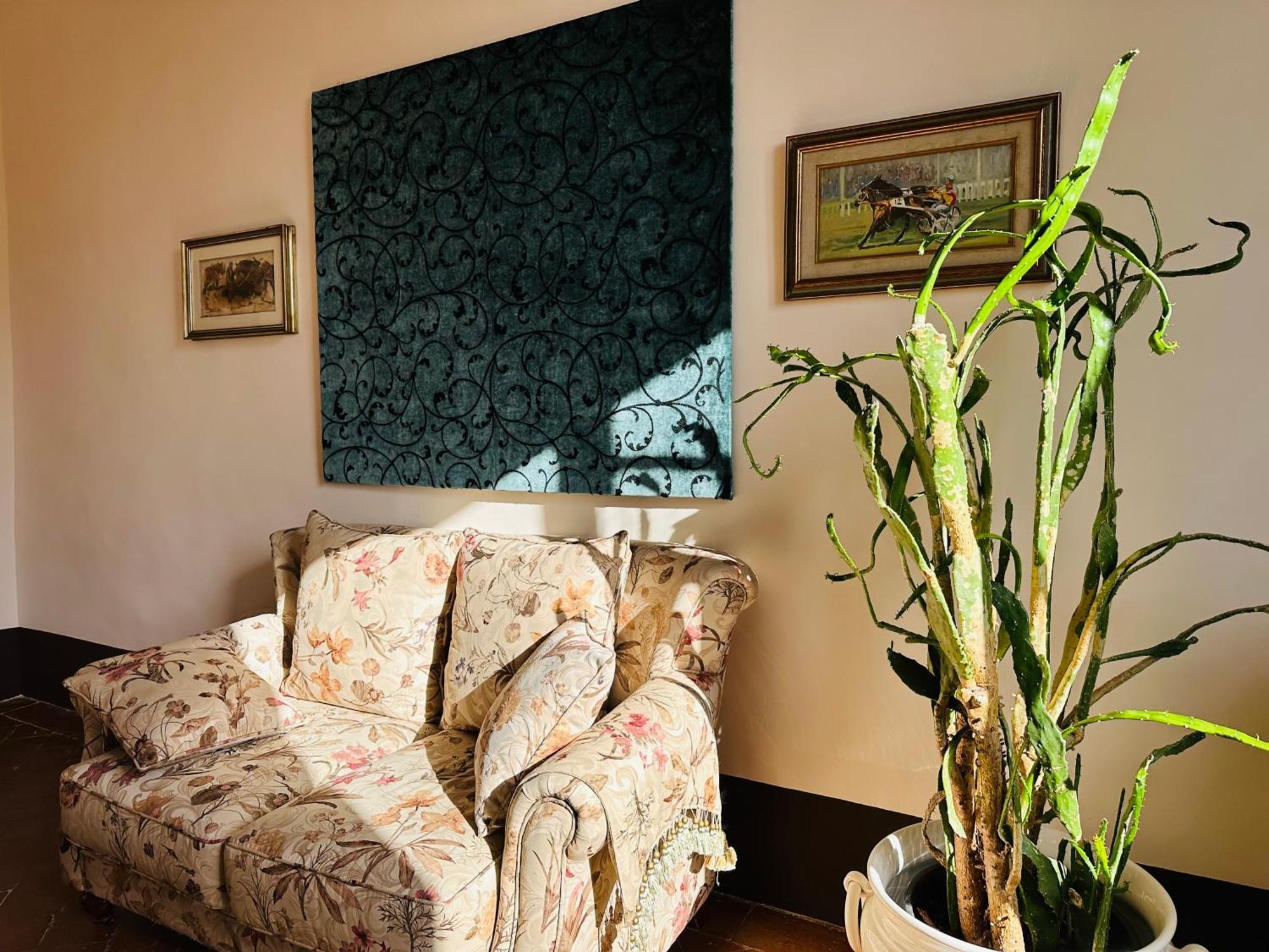 Domus An - Sant'Agata-Historical Home-Very Central 시에나 외부 사진